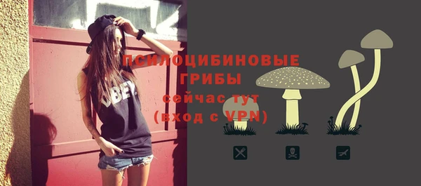 мяу мяу мука Касимов