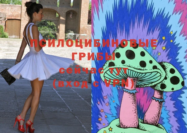 мяу мяу мука Касимов