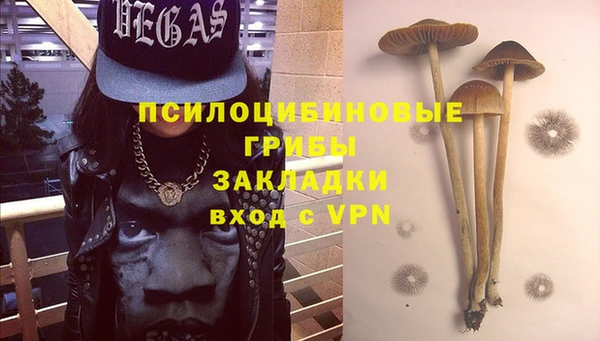 мяу мяу мука Касимов