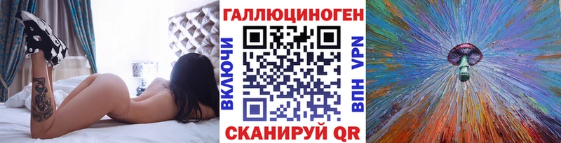 Галлюциногенные грибы Psilocybe  Купить где  Онега 